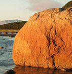 Siegfried Hornung... damit es weitergeht